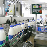 Производство напитков и молочная промышленность