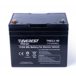 Everest Energy TNE 12-40 - тяговый гелевый аккумулятор