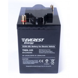 Everest Energy TNE 6-245 - тяговый гелевый аккумулятор