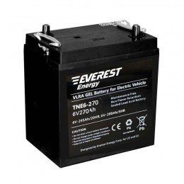 Everest Energy TNE 6-270 - тяговый гелевый аккумулятор