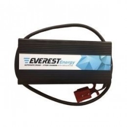 Зарядное устройство Everest Energy 24-20
