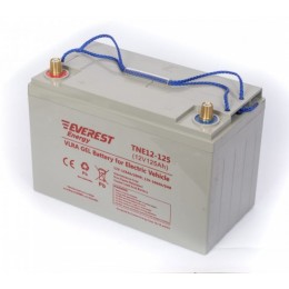 Everest Energy TNE 12-125 - тяговый гелевый аккумулятор