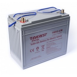 Everest Energy TNE 12-170 - тяговый гелевый аккумулятор