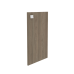 Дверь для шкафа ЛДСП Style Л.Д-3 Пр